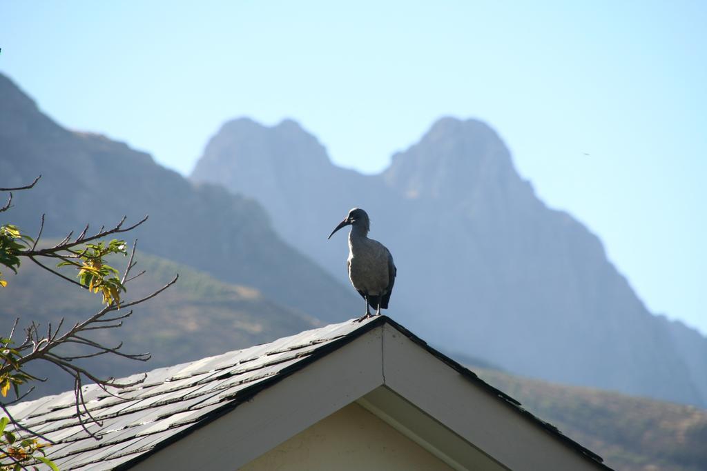 Keren'S Vine Guesthouse Stellenbosch Eksteriør billede